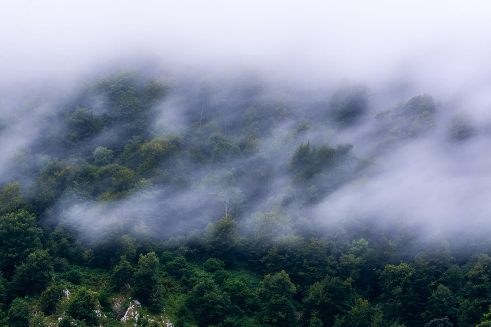 10082021-DSC 5074